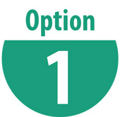 Option 1