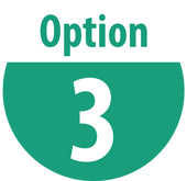 Option 3